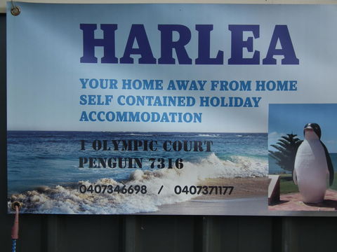 Harlea - Tourism Noosa 21