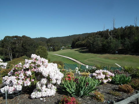 Harlea - Tourism Noosa 16