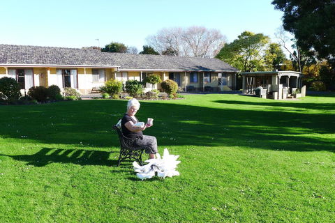 Willaway Motel Apartments - Tourism Noosa 10