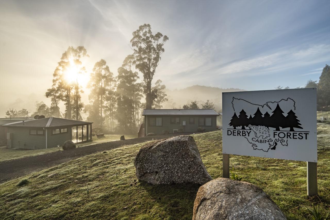 Gladstone TAS Tourism Noosa