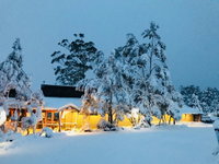 Book Cradle Mountain Accommodation Vacations Tourism Noosa Tourism Noosa