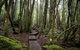 Peppers Cradle Mountain Lodge - thumb 25