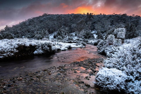 Peppers Cradle Mountain Lodge - Tourism Noosa 44