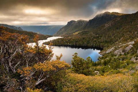 Peppers Cradle Mountain Lodge - Tourism Noosa 38