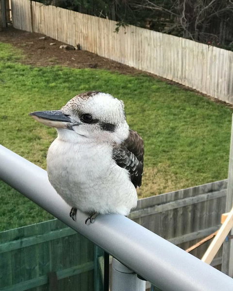 Seas The Day - Seaside Getaway - Tourism Noosa 11