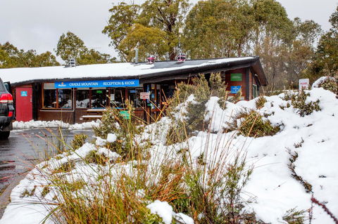 Discovery Parks - Cradle Mountain - Tourism Noosa 29