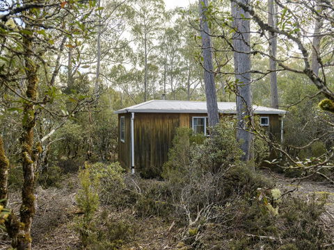 Discovery Parks - Cradle Mountain - Tourism Noosa 18