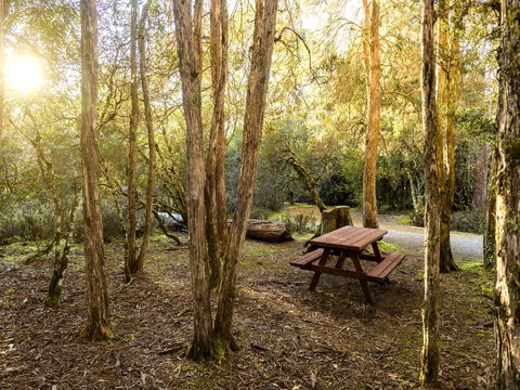 Discovery Parks - Cradle Mountain - Tourism Noosa 19