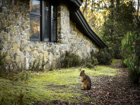 Discovery Parks - Cradle Mountain - Tourism Noosa 22