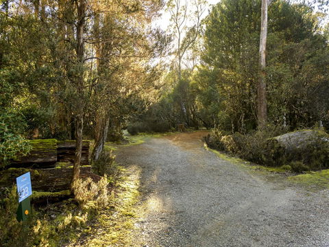 Discovery Parks - Cradle Mountain - Tourism Noosa 1
