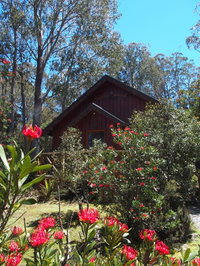 Cradle Mountain Highlanders