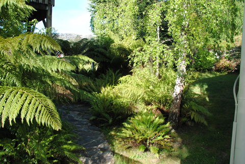 The Wombat Cottage - Tourism Noosa 4