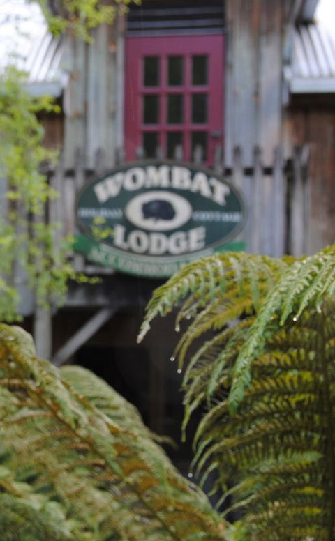 The Wombat Cottage - Tourism Noosa 0