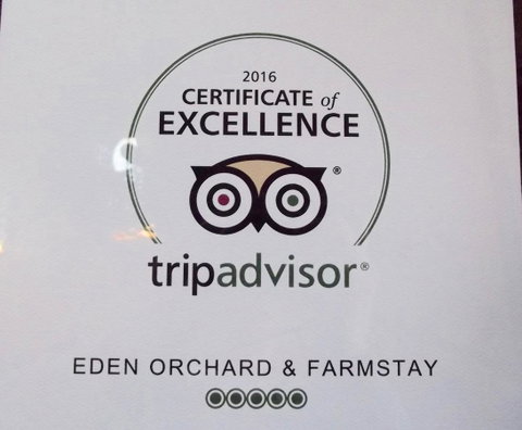 Eden Orchard & Farmstay - Tourism Noosa 28