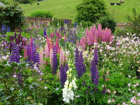 Old WesleyDale Heritage Accommodation - Tourism Noosa 1