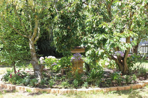 Bellamona - Tourism Noosa 23