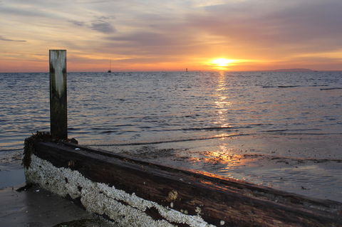 Boathouse Resort Studios And Suites - Tourism Noosa 28