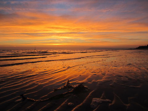 Boathouse Resort Studios And Suites - Tourism Noosa 14