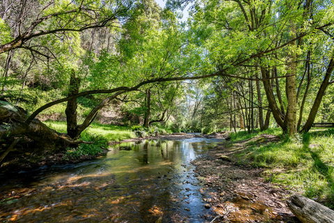 Avalon House - Tourism Noosa 7