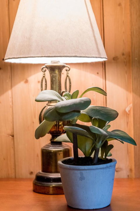 Avalon House - Tourism Noosa 41