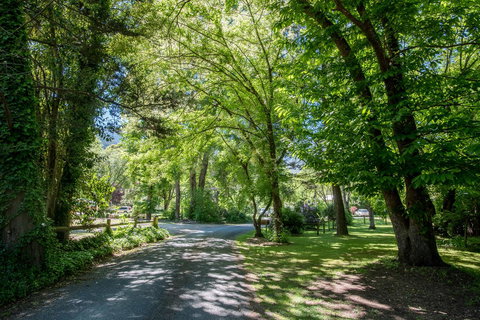 Avalon House - Tourism Noosa 23