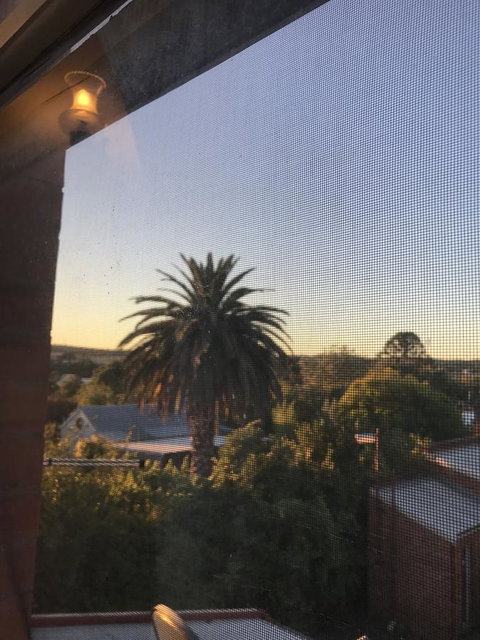 Campbell St Lodge - Tourism Noosa 33