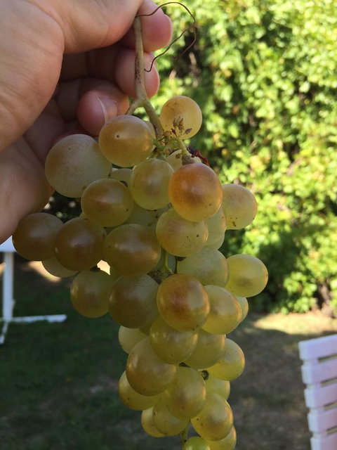 Campbell St Lodge - Tourism Noosa 9