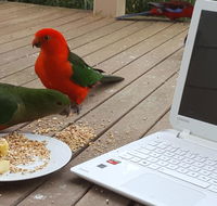 Wilsons Promontory Motel - Tourism Noosa