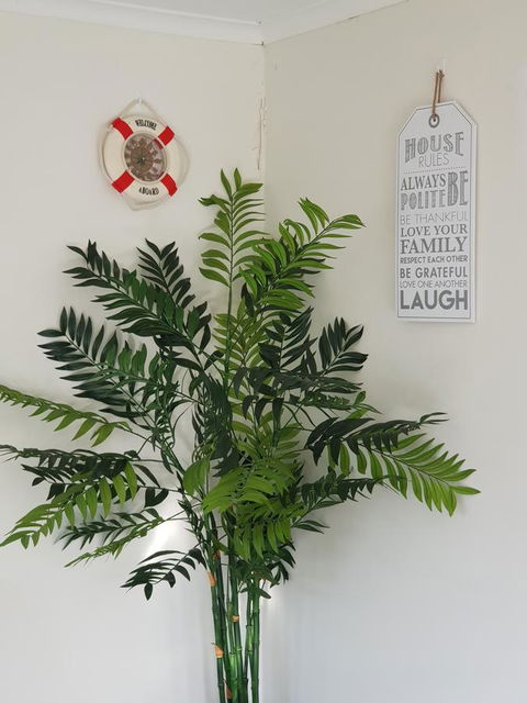 Dromana Holiday Beach House - Tourism Noosa 4