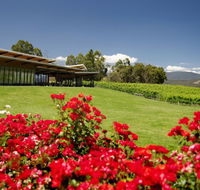 Balgownie Estate Vineyard Resort  Spa - Tourism Noosa