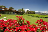 Book Yarra Glen Accommodation Vacations Tourism Noosa Tourism Noosa