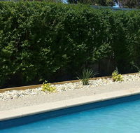 Robinvale Bridge Motel - Tourism Noosa