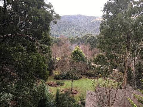 Shady Brook Cottages - Tourism Noosa 18