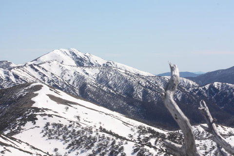 Shady Brook Cottages - Tourism Noosa 4