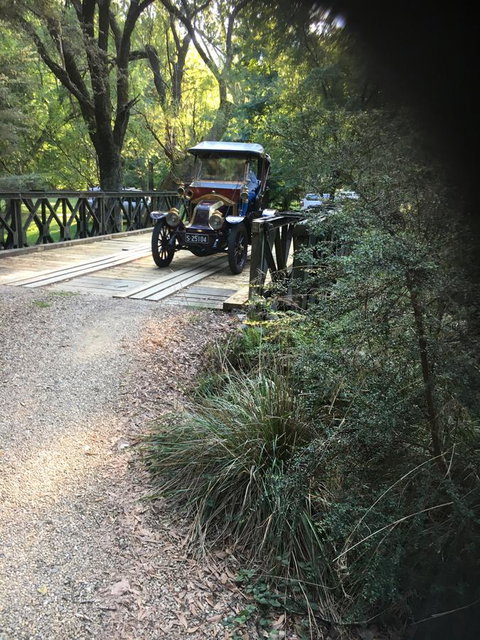 Shady Brook Cottages - Tourism Noosa 5