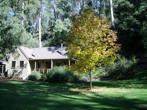 Shady Brook Cottages - Tourism Noosa 0
