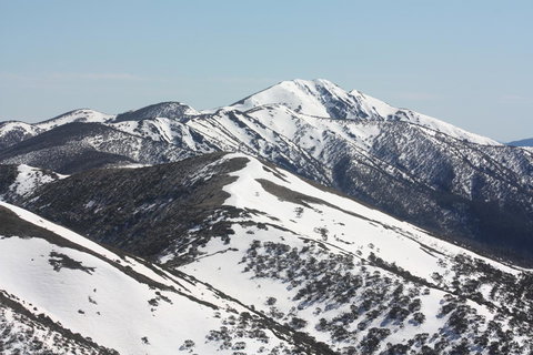 Shady Brook Cottages - Tourism Noosa 31