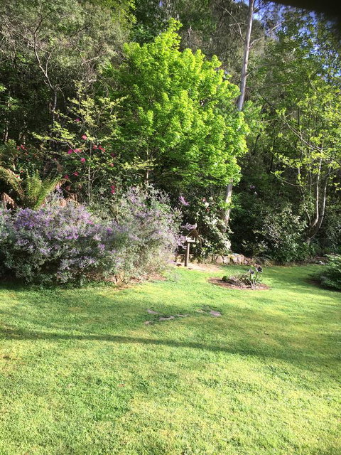 Shady Brook Cottages - Tourism Noosa 6