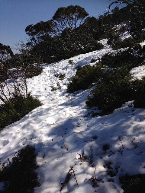 Shady Brook Cottages - Tourism Noosa 11