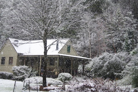 Shady Brook Cottages - Tourism Noosa 30