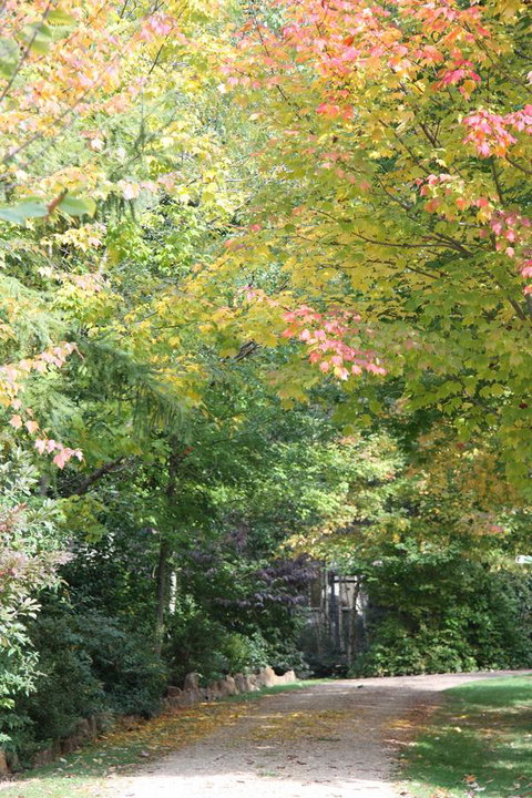 Shady Brook Cottages - Tourism Noosa 14