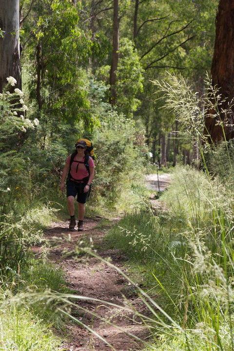 The Harrietville Snowline Hotel - Tourism Noosa 11
