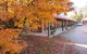 The Harrietville Snowline Hotel - thumb 21