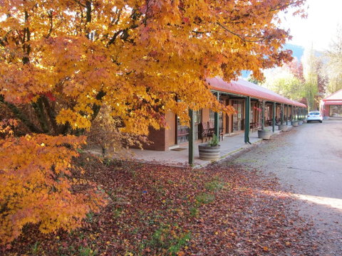 The Harrietville Snowline Hotel - Tourism Noosa 21