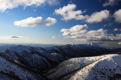 The Harrietville Snowline Hotel - Tourism Noosa 9