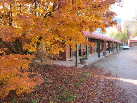 The Harrietville Snowline Hotel - Tourism Noosa 14