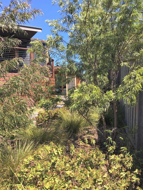 The Cosy Bungalow - Tourism Noosa 10
