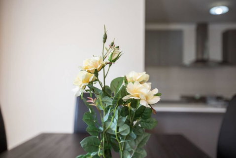 Holiday Rose - Tourism Noosa 8