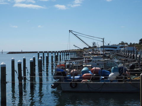 Port Relaxation - Tourism Noosa 13