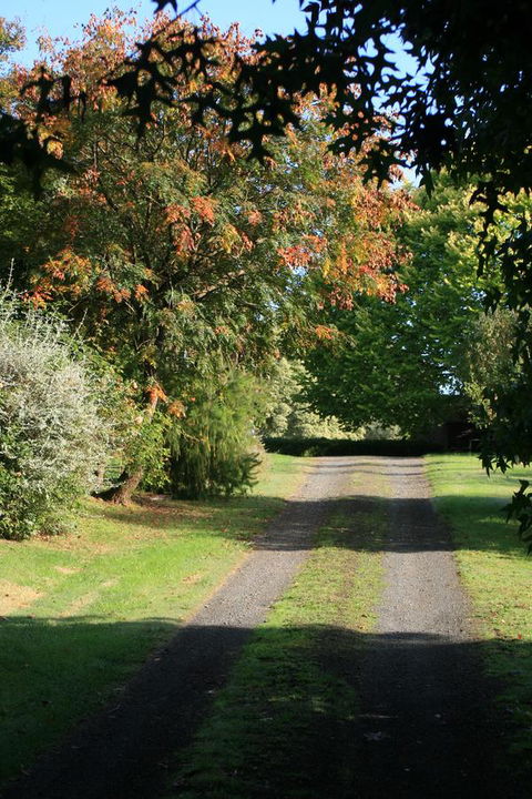Strathmore Farm B&B - Tourism Noosa 27